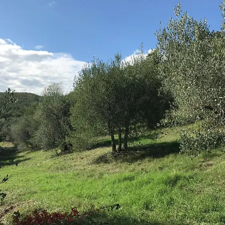 빌라 La Selva Quadro Vecchio