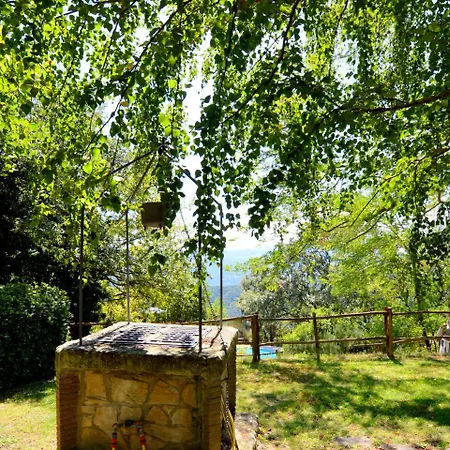 La Selva * Quadro Vecchio