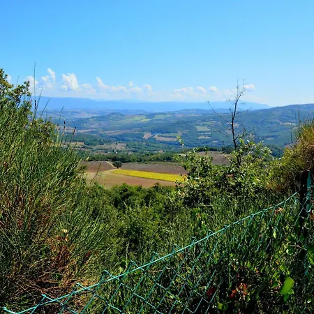 La Selva Quadro Vecchio