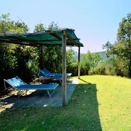 La Selva Quadro Vecchio